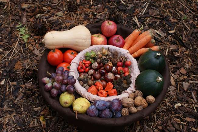 Иллюстративное фото