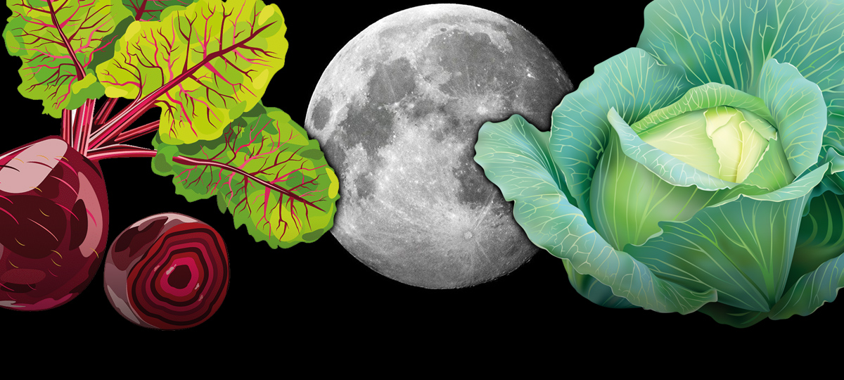 Лунный календарь. Коллаж BGmedia