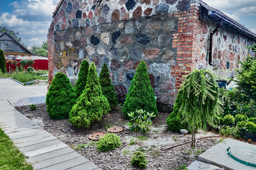 Питомник братьев Вирко