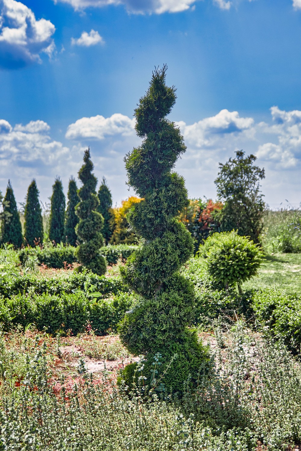 Питомник братьев Вирко