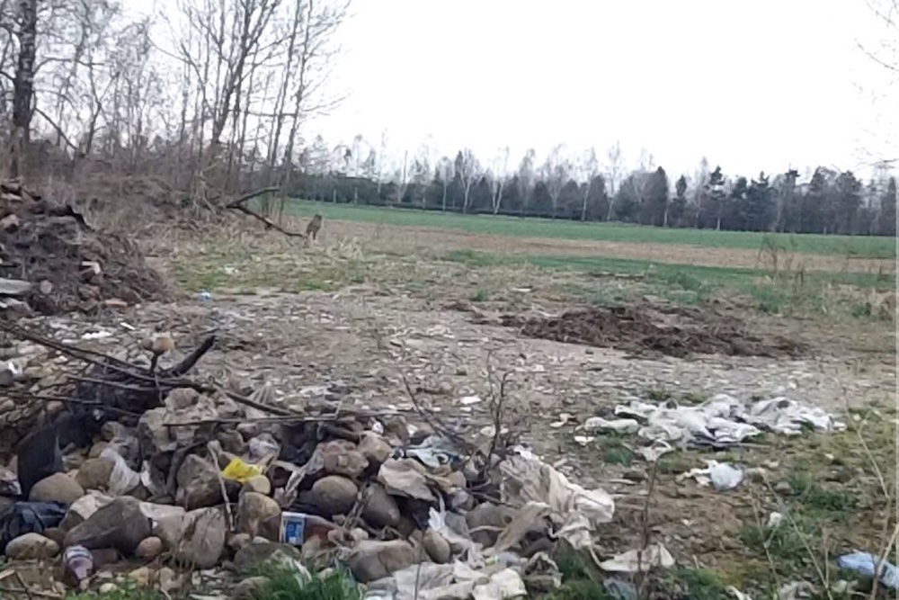 Мусор в 200 метрах от музея-усадьбы в деревне Заосье Барановичского района Брестской области. Фото: архив героя. 