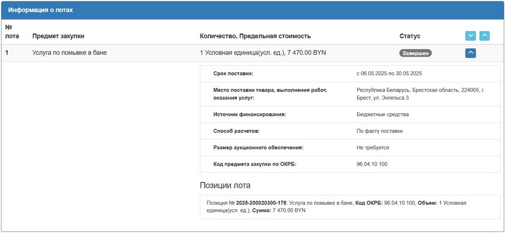 Тендер Брестского горисполкома на отдых в бане. Скриншот сайта госзакупок