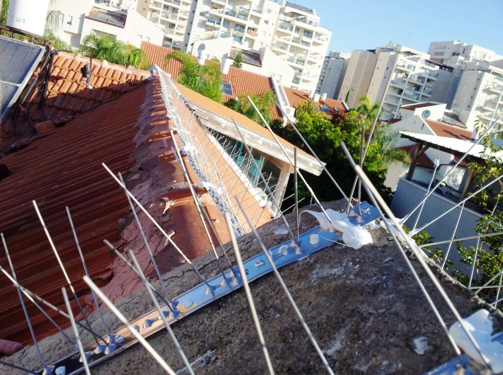 Защита от посадки голубей. Фото: ecoworld.co.il.