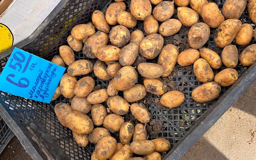 Молодой азербайджанский картофель на Брестском центральном рынке. Фото: «Виртуальный Брест».