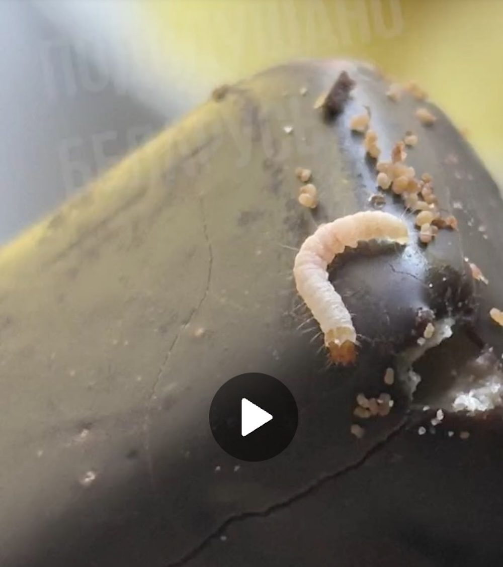 Личинки в конфетах «Красная шапочка» от фабрики «Коммунарка». 