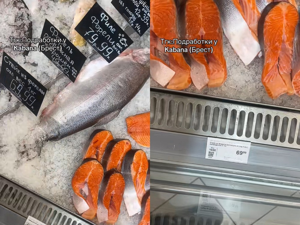 цены на форель