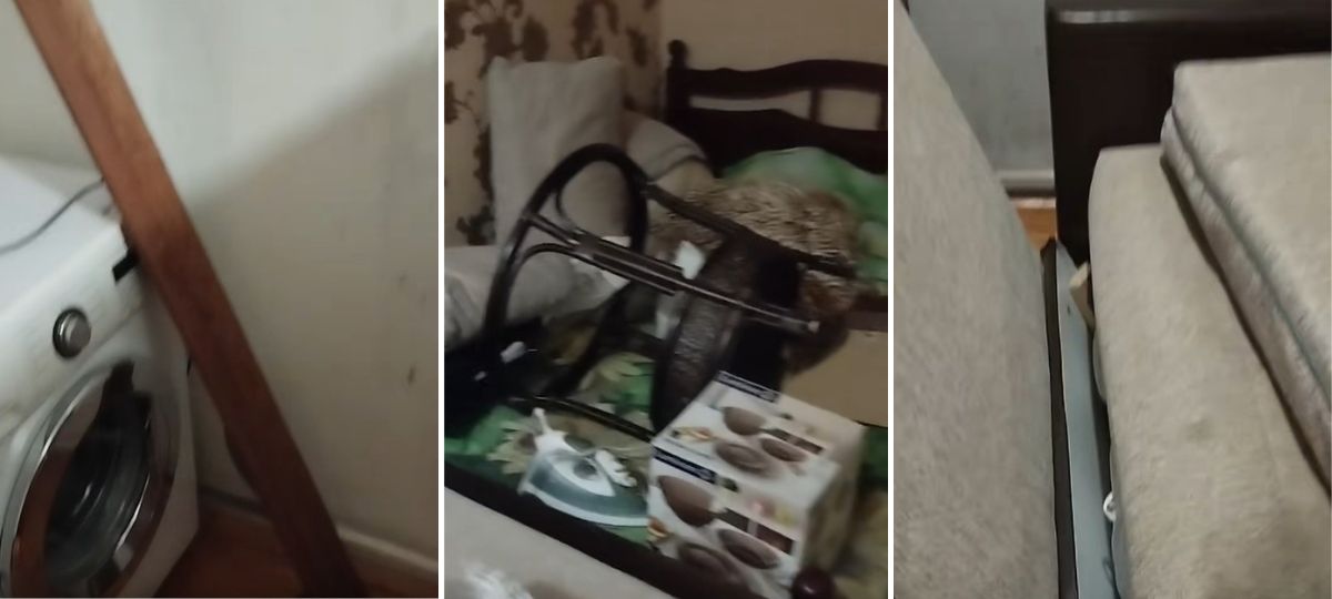 Чиновница пакостит в квартире в Ушачах. Коллаж BGmedia